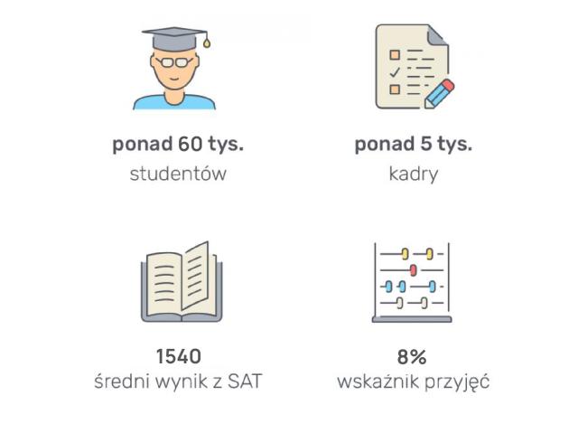 Najważniejsze fakty i liczby o NYU